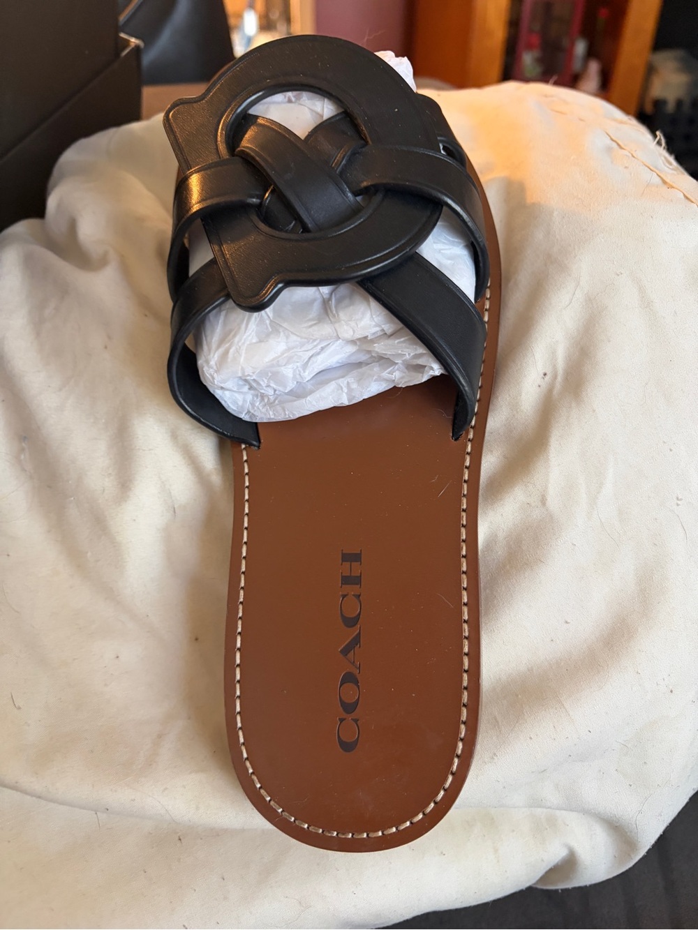 COACH Issa Leather Sandals